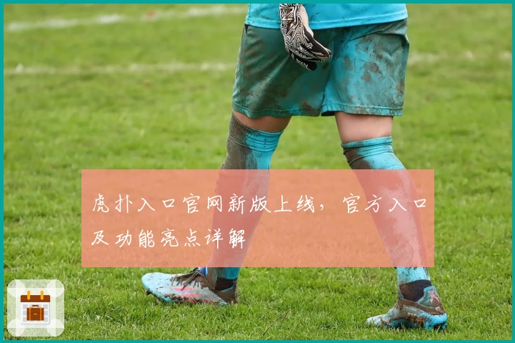 虎扑入口官网新版上线，官方入口及功能亮点详解