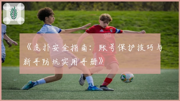 《虎扑安全指南：账号保护技巧与新手防坑实用手册》