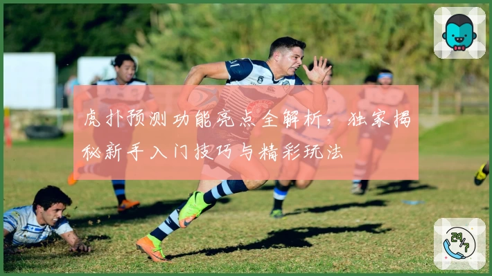 虎扑预测功能亮点全解析，独家揭秘新手入门技巧与精彩玩法