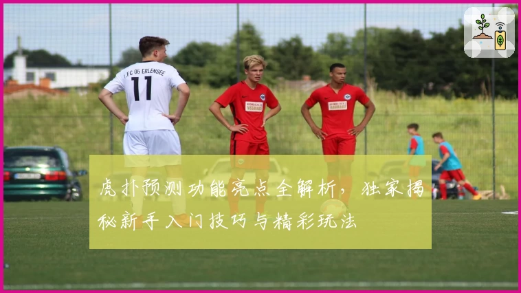 虎扑预测功能亮点全解析，独家揭秘新手入门技巧与精彩玩法
