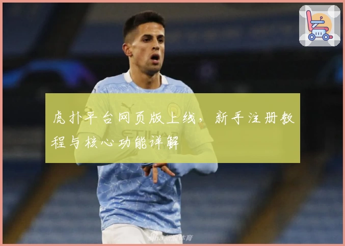 虎扑平台网页版上线,新手注册教程与核心功能详解