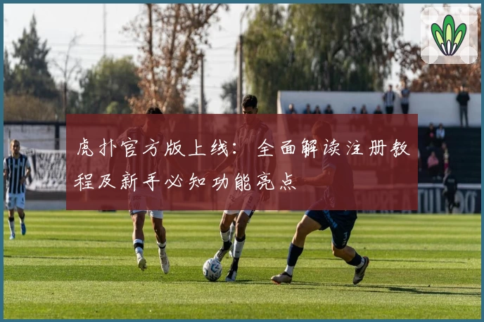 虎扑官方版上线：全面解读注册教程及新手必知功能亮点